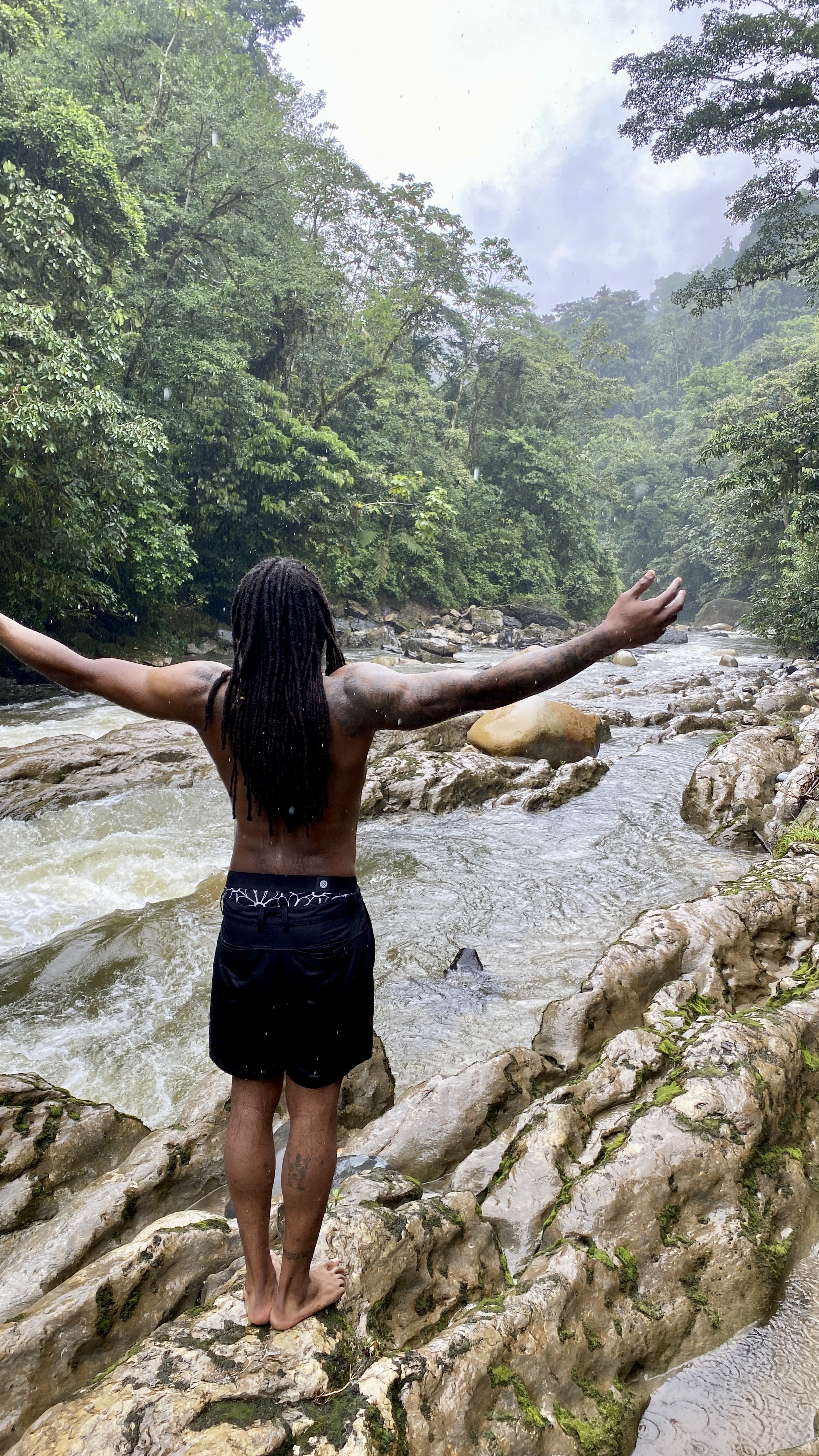 Inner willingness — the jungle
