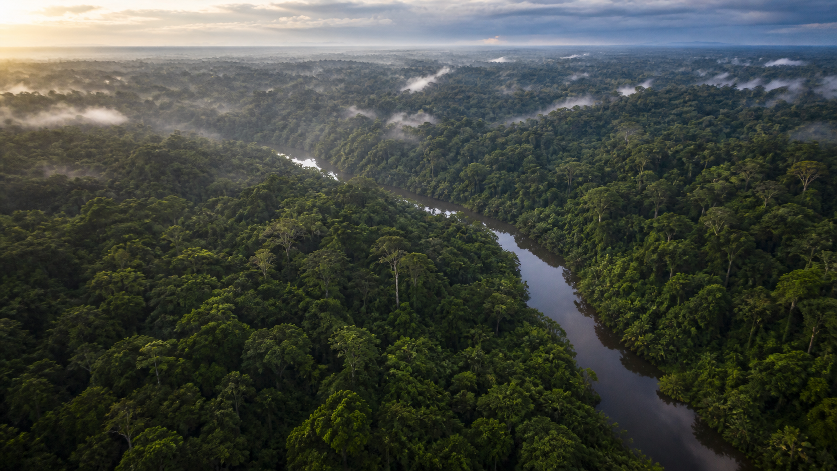 The Ecuadorian Amazon