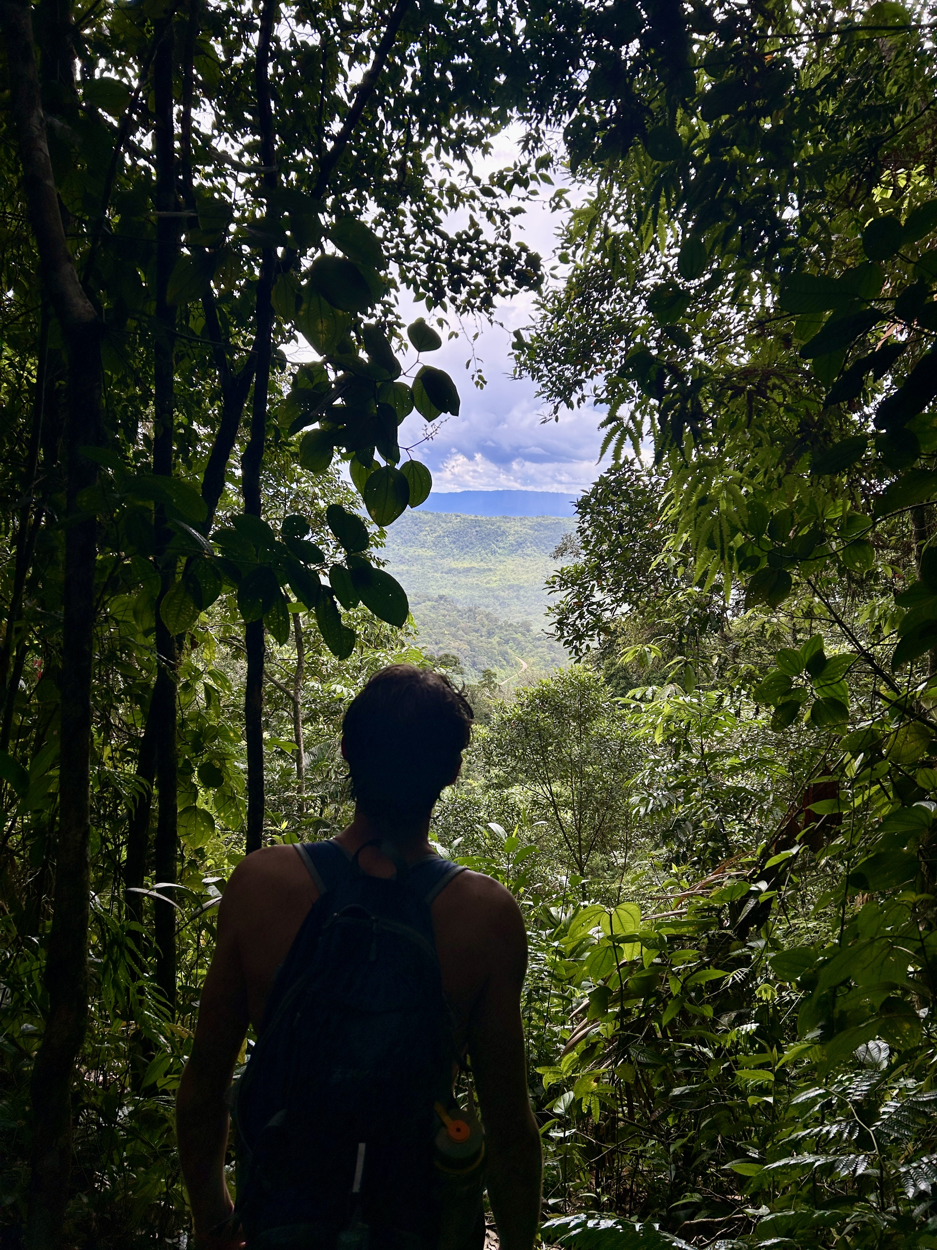 Jungle to highlands transition