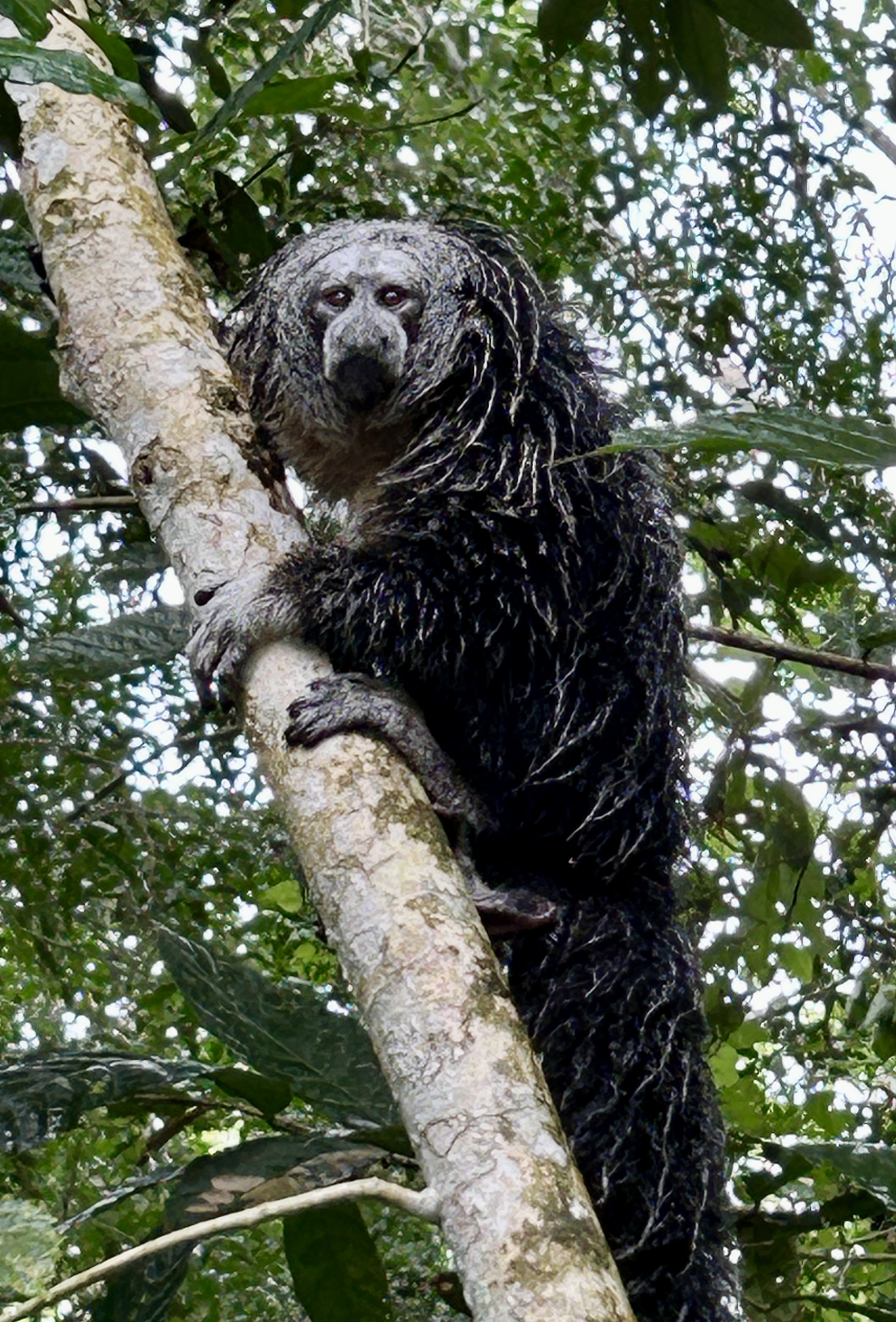 Rare wildlife encounters in Ecuador